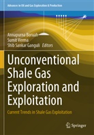 Annapurna Boruah, Shib Sankar Ganguli, Sumit Verma - Unconventional Shale Gas Exploration and Exploitation