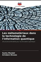 Arindam Biswas, Santu Mondal - Les métamatériaux dans la technologie de l'information quantique