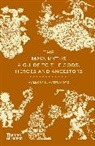Mallory Matsumoto - The Maya Myths