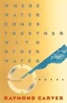 Raymond Carver - Where water comes together with
