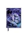 Flame Tree Publishing - Anne Stokes - Willkommen Drachenbaby - Taschenkalender 2025