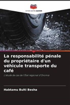Habtamu Bulti Besha - La responsabilité pénale du propriétaire d'un véhicule transporte du café