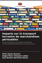 Felix Ayala Alvarez, Ana Bertha Martínez Durán, Ángel Omar Vásquez López - Impacts sur le transport terrestre de marchandises périssables