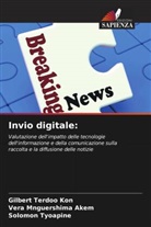 Vera Mnguershima Akem, Gilbert Terdoo Kon, Solomon Tyoapine - Invio digitale: