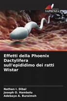 Adebayo A. Buraimoh, Nathan I. Dibal, Joseph O. Hambolu - Effetti della Phoenix Dactylifera sull'epididimo dei ratti Wistar
