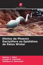 Adebayo A. Buraimoh, Nathan I. Dibal, Joseph O. Hambolu - Efeitos da Phoenix Dactylifera no Epidídimo de Ratos Wistar