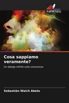 Sebastián Walch Abete - Cosa sappiamo veramente?