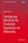 Delio Mugnolo - Semigroup Methods for Evolution Equations on Networks