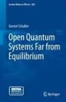 Gernot Schaller - Open Quantum Systems Far from Equilibrium