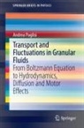 Andrea Puglisi - Transport and Fluctuations in Granular Fluids