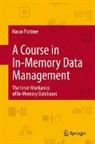 Hasso Plattner - A Course in In-Memory Data Management