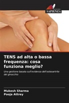 Pooja Attrey, Mukesh Sharma - TENS ad alta o bassa frequenza: cosa funziona meglio?