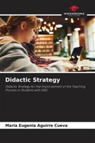 María Eugenia Aguirre Cueva - Didactic Strategy
