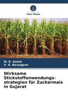 V G Bavalgave, V. G. Bavalgave, M K Gamit, M. K. Gamit - Wirksame Stickstoffanwendungs-strategien für Zuckermais in Gujarat
