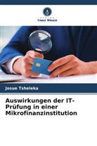Josué Tsheleka - Auswirkungen der IT-Prüfung in einer Mikrofinanzinstitution