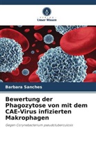 Barbara Sanches - Bewertung der Phagozytose von mit dem CAE-Virus infizierten Makrophagen