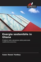 Isaac Kwasi Yankey - Energia sostenibile in Ghana