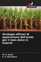 V. G. Bavalgave, M. K. Gamit - Strategie efficaci di applicazione dell'azoto per il mais dolce in Gujarat
