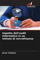 Josué Tsheleka - Impatto dell'audit informatico in un istituto di microfinanza