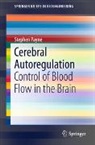 Stephen Payne - Cerebral Autoregulation