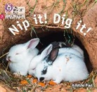 Natasha Paul - Nip it! Dig it!
