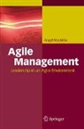 Ángel Medinilla - Agile Management