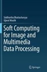 Siddhartha Bhattacharyya, Ujjwal Maulik - Soft Computing for Image and Multimedia Data Processing