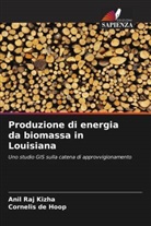 Cornelis de Hoop, Anil Raj Kizha - Produzione di energia da biomassa in Louisiana