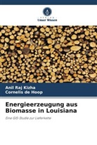 Cornelis de Hoop, Anil Raj Kizha - Energieerzeugung aus Biomasse in Louisiana