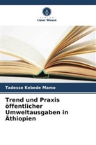 Tadesse Kebede Mamo - Trend und Praxis öffentlicher Umweltausgaben in Äthiopien