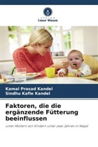 Sindhu Kafle Kandel, Kamal Prasad Kandel - Faktoren, die die ergänzende Fütterung beeinflussen