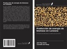 Cornelis de Hoop, Anil Raj Kizha - Producción de energía de biomasa en Luisiana