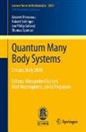 Vincent Rivasseau, Robert Seiringer, Jan Philip Solovej, Thomas Spencer - Quantum Many Body Systems