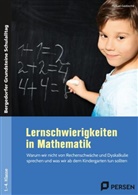 Michael Gaidoschik - Lernschwierigkeiten in Mathematik
