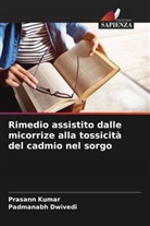 Padmanabh Dwivedi, Prasann Kumar - Rimedio assistito dalle micorrize alla tossicità del cadmio nel sorgo