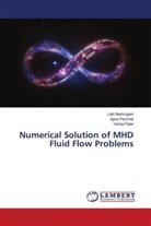 LALIT NARSINGANI, JIGNA PANCHAL, Vishal Patel - Numerical Solution of MHD Fluid Flow Problems