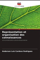 Anderson Luiz Cardoso Rodrigues - Représentation et organisation des connaissances