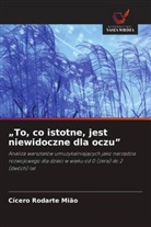 Cícero Rodarte Mião - "To, co istotne, jest niewidoczne dla oczu"