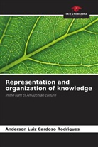 Anderson Luiz Cardoso Rodrigues - Representation and organization of knowledge