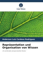 Anderson Luiz Cardoso Rodrigues - Repräsentation und Organisation von Wissen