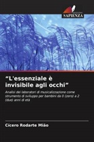 Cícero Rodarte Mião - "L'essenziale è invisibile agli occhi"