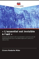 Cícero Rodarte Mião - « L'essentiel est invisible à l'oeil »
