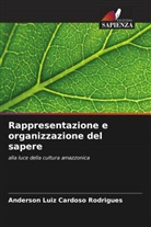 Anderson Luiz Cardoso Rodrigues - Rappresentazione e organizzazione del sapere
