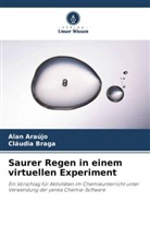 Alan Araújo, Cláudia Braga - Saurer Regen in einem virtuellen Experiment