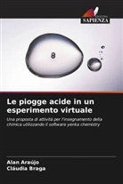 Alan Araújo, Cláudia Braga - Le piogge acide in un esperimento virtuale