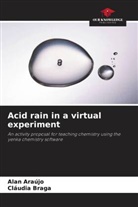 Alan Araújo, Cláudia Braga - Acid rain in a virtual experiment