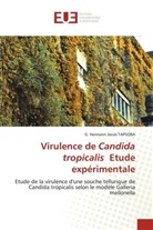 G. Hermann Jonas Tapsoba - Virulence de Candida tropicalis Etude expérimentale