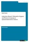 Daniel Sosna - Schlechtes Wasser? Öffentliche Hygiene und Wasserversorgung in spätmittelalterlichen Städten