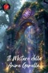 Alina Rubi - Il Mistero delle Anime Gemelle