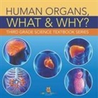Baby - Human Organs, What & Why?